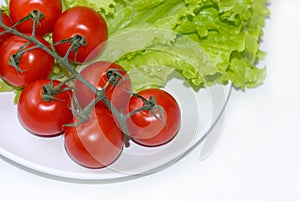 Tomato and lettuce onplate isolated