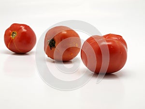 Tomato in line
