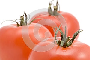 Tomato macro