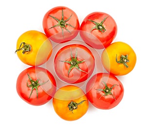 tomato mix group