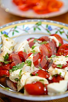 Tomato and Mozarella- salad