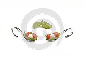 Tomato, mozzarella and basil on a spoon