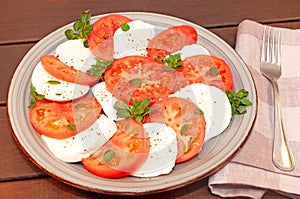 Tomato and mozzarella Caprese salad with sauce