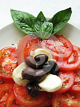 Tomato mozzarella MS