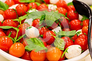 Tomato and mozzarella salad