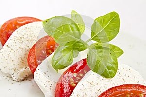 Tomato mozzarella salad