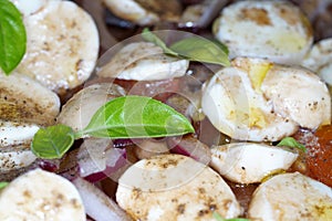 Tomato mozzarella salad with washed tomatoes in rings cut onions and mozzarella