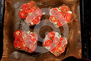 Tomato Mozzarella Toast on metal pan. Sandwich toasts with tomatoes, mozzarella and basil leaves