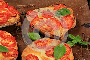 Tomato Mozzarella Toast on metal pan. Sandwich toasts with tomatoes, mozzarella and basil leaves