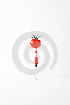 Tomato on needle with nitrates, fertilizers. GMO.