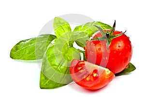 Tomato of Pachino and basil