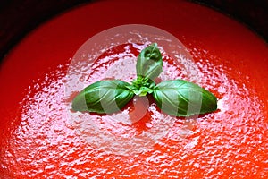 Tomato pasta sauce and basil photo