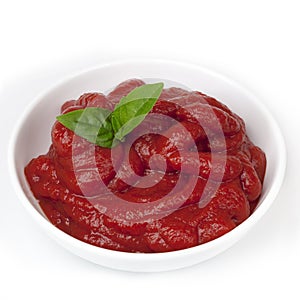 Tomato Paste