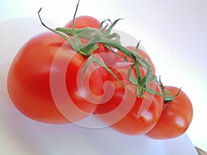 Tomato
