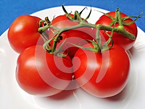 Tomato