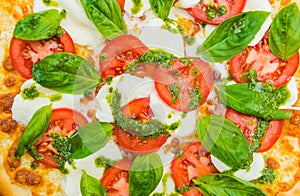 Tomato Pizza Italiana photo