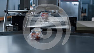 Tomato plastic packs moving at technological conveyor belt machine close up