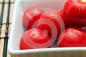 Tomato plate photo