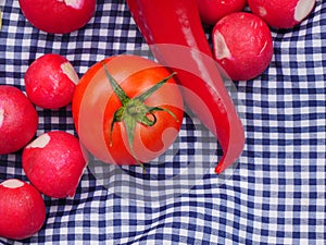 Tomato, radish and pepper picnic food for ecotourism