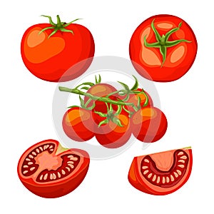 tomato red set cartoon vector illustration