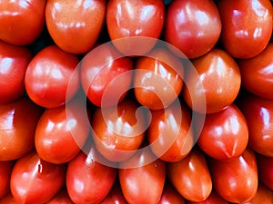 Tomato, Roma, used primarily for tomato sauce.also known as Italian tomatoes