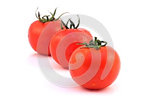 Tomato Row