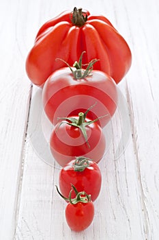 Tomato row