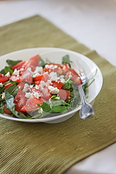 Tomato salad with basil, cheese, olive oil and garlic dressing o