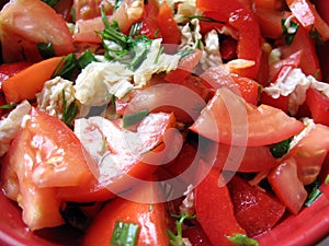 Tomato salad texture