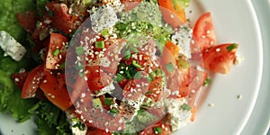 Tomato salad on the white plate. Top view Close up
