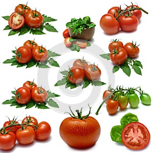 Tomato Sampler