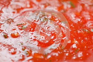 tomato sauce photo