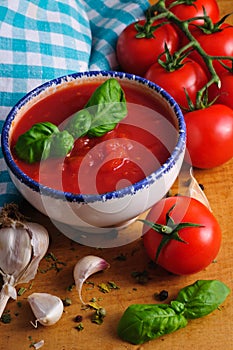 Tomato sauce photo