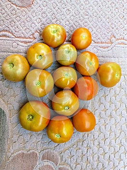 Tomato Seeds - Golden Jubilee in the home garde or plant n