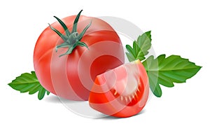 Tomato with segment photo