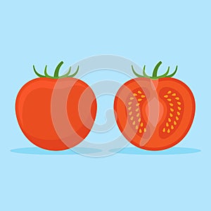 Tomato and slice. Flat style icon. Vector illustration.
