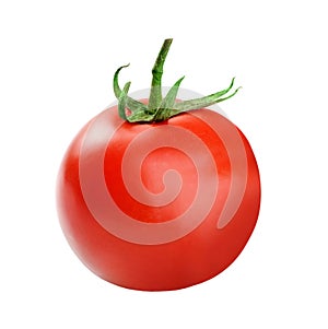 Tomato slice isolated