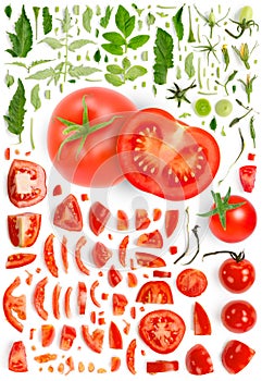 Tomato Slice and Leaf Collection