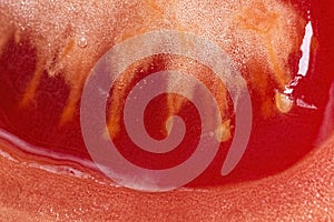 Tomato Slice Macro Background