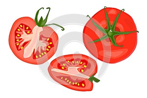 Tomato slice set isolated on white background.
