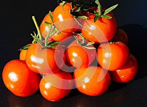 Tomato Solanum lycopersicum