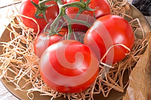 The tomato (Solanum lycopersicum)