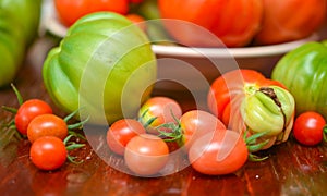 The tomato (Solanum lycopersicum)