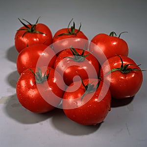 Tomato Solanum lycopersicum