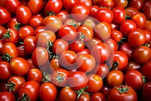 Tomato solanum lycopersicum pile for sale at the market