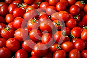 Tomato solanum lycopersicum pile for sale at the market