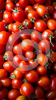 Tomato solanum lycopersicum pile for sale at the market