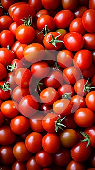 Tomato solanum lycopersicum pile for sale at the market