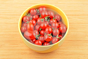 Tomato Solanum lycopersicum var. cerasiforme