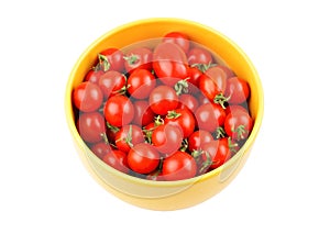 Tomato Solanum lycopersicum var. cerasiforme